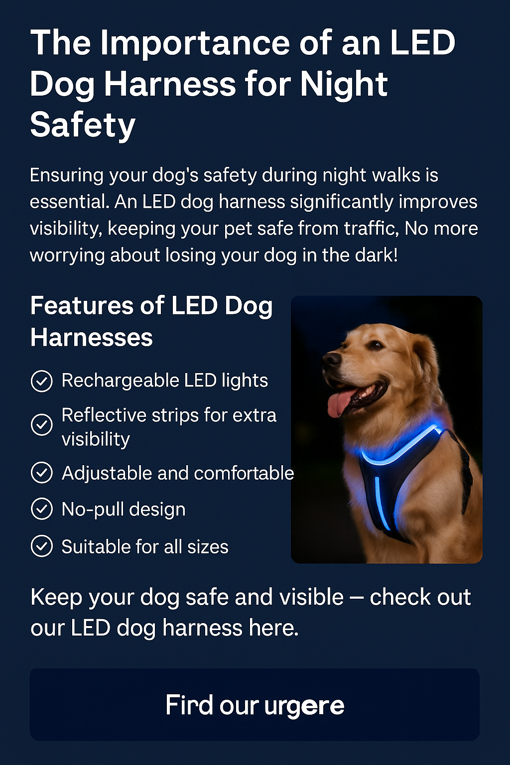 Led Dog Harness Blog
