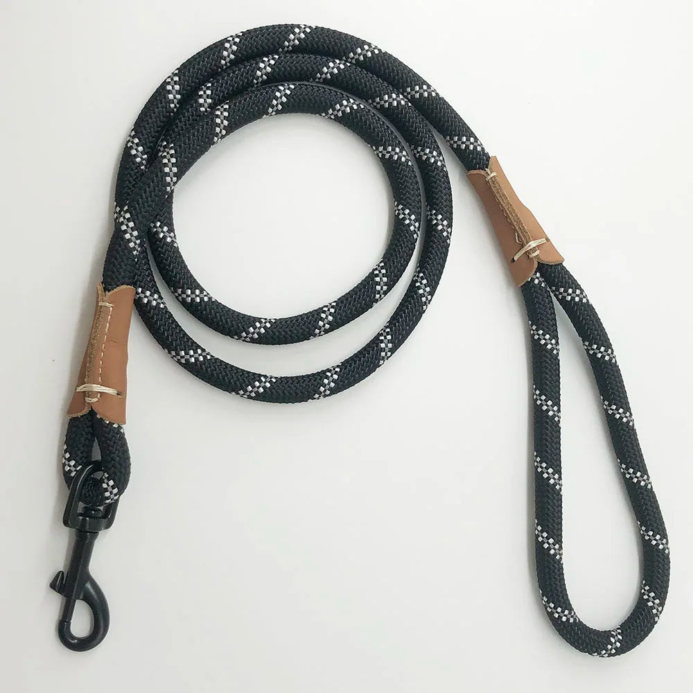 Durable Long Dog Leash Woofy