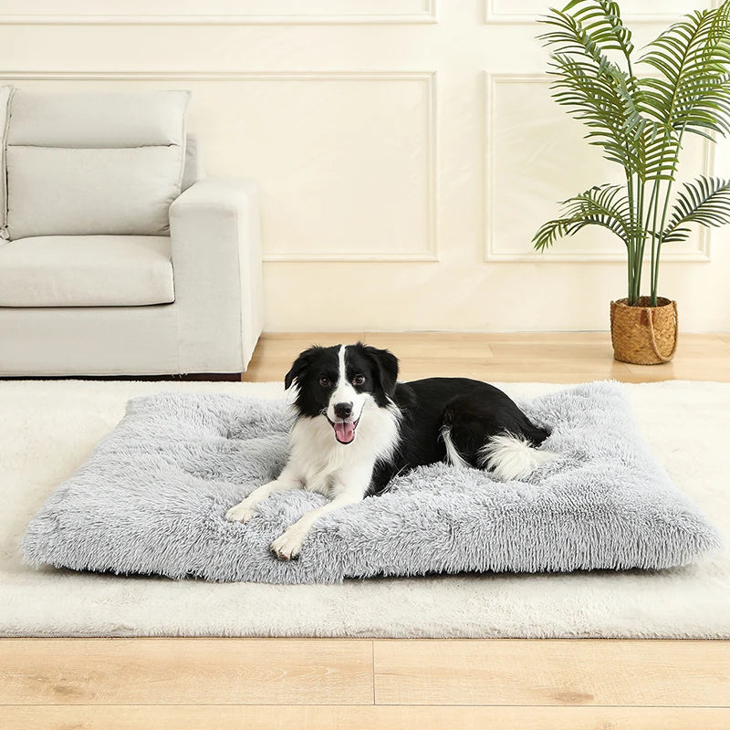Ultimate Comfort Plush Dog Bed Woofy