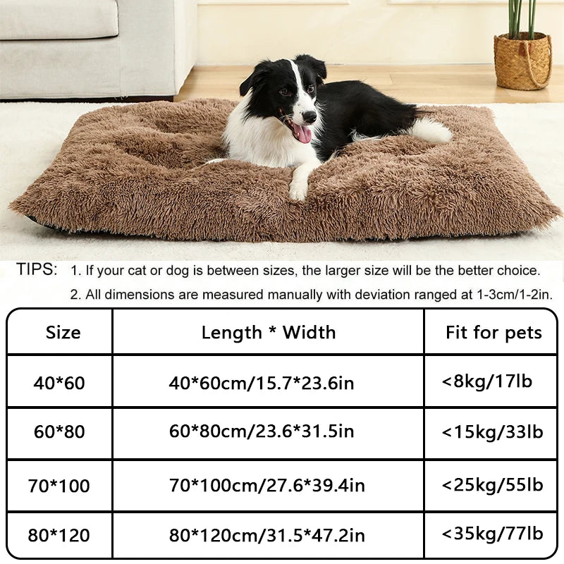 Ultimate Comfort Plush Dog Bed Woofy