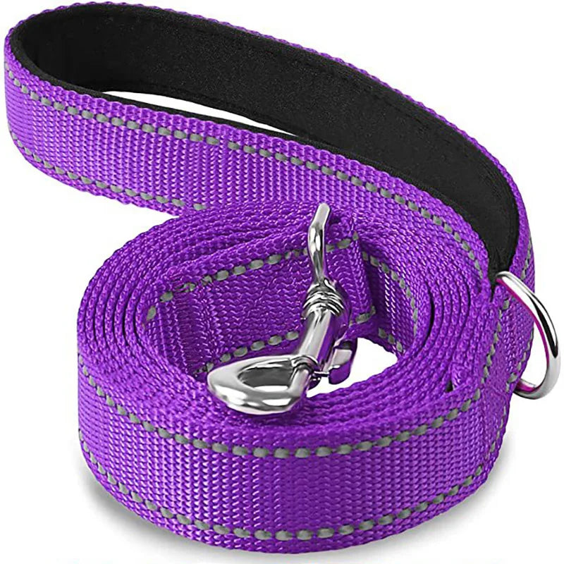 Night Safety Dog Leash with Reflective Collar for Dogs