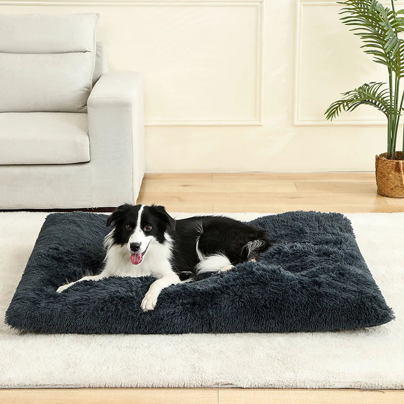 Ultimate Comfort Plush Dog Bed Woofy