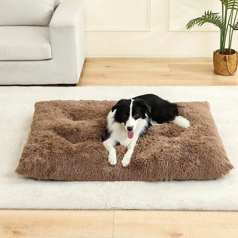Ultimate Comfort Plush Dog Bed Woofy