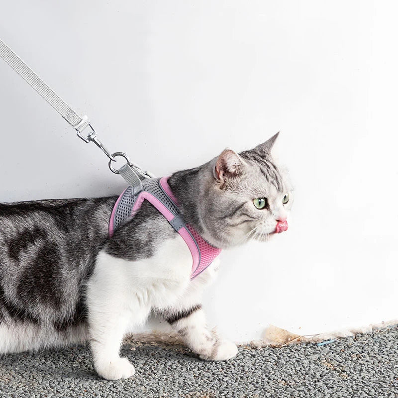 Adjustable Cat Harness & Leash Set for Outdoor Walks