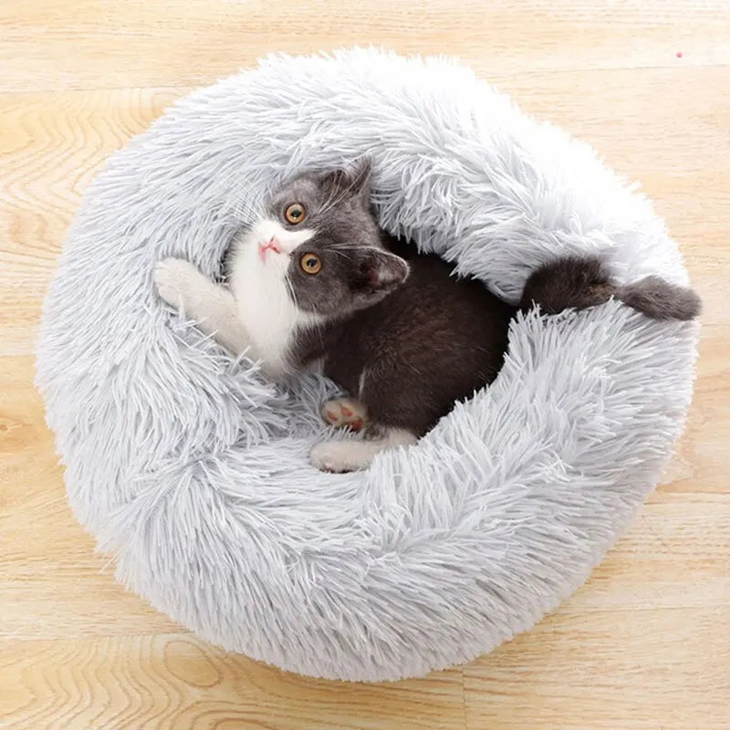 Cozy Dog & Cat Bed Woofy
