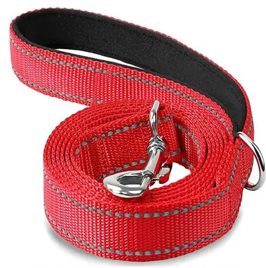 Nighttime Reflective Leash for Safe Dog Walks Outdoors