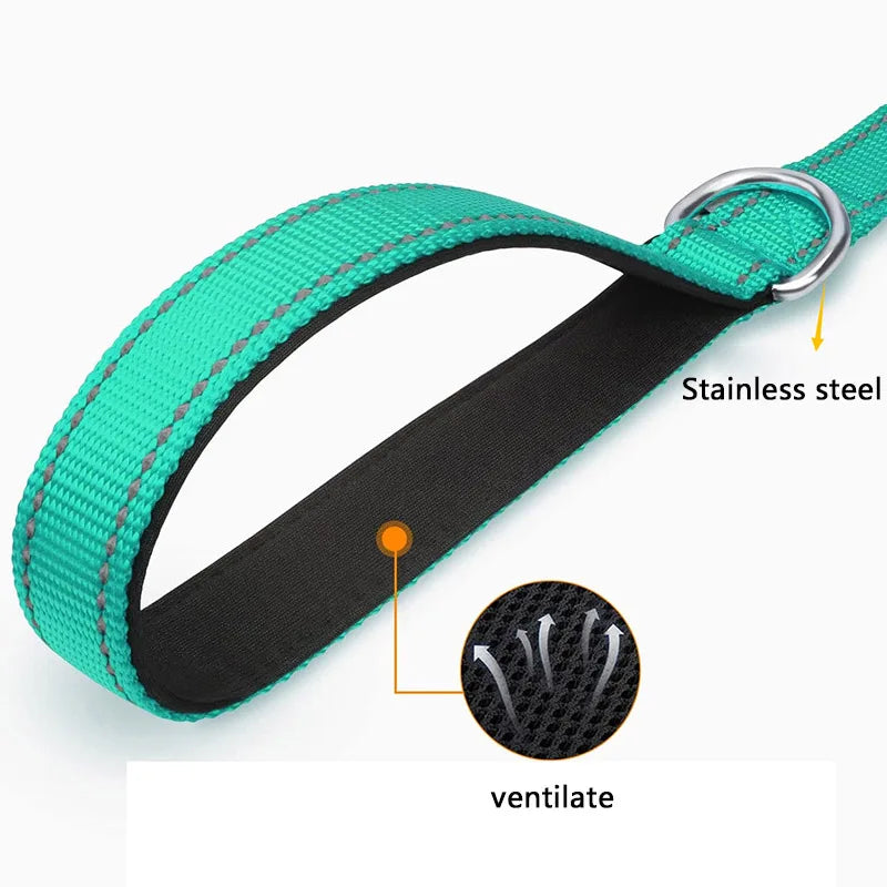 Bright Reflective Dog Leash for Evening Walks