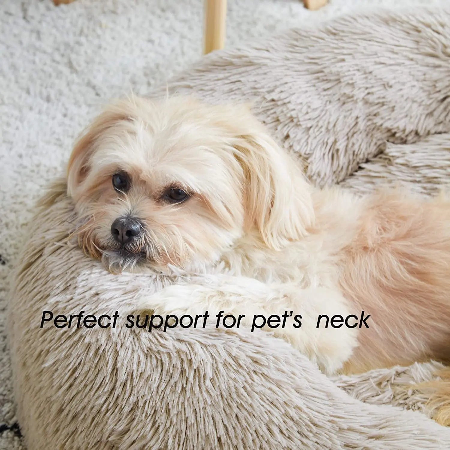 Cozy Dog & Cat Bed Woofy