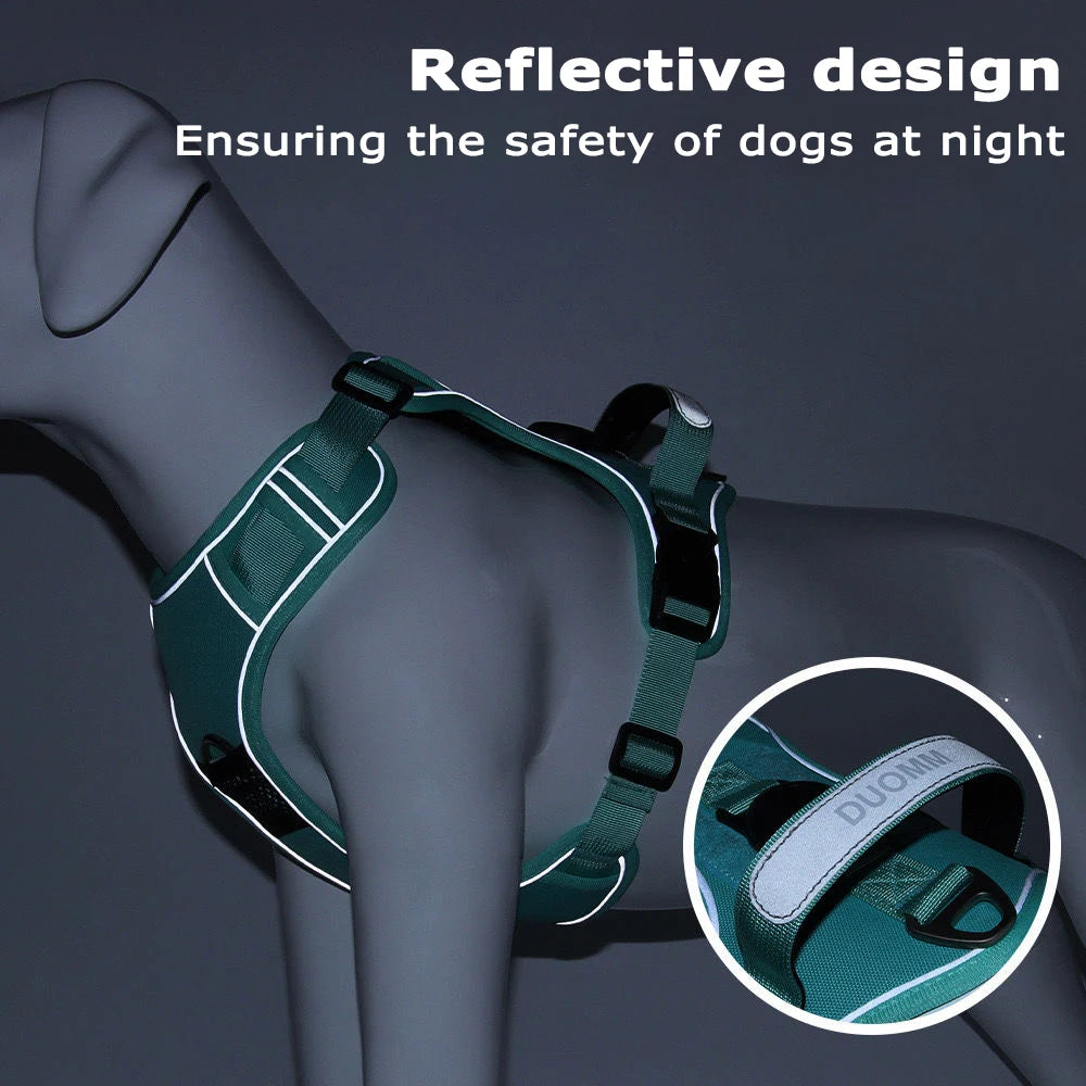 Night visible dog harness for outdoor walks