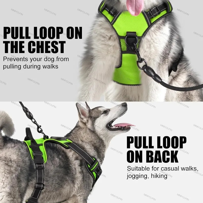 LED pet harness adjustable and bright