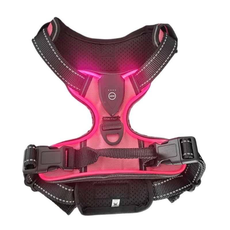 Dog walking harness glow in the dark