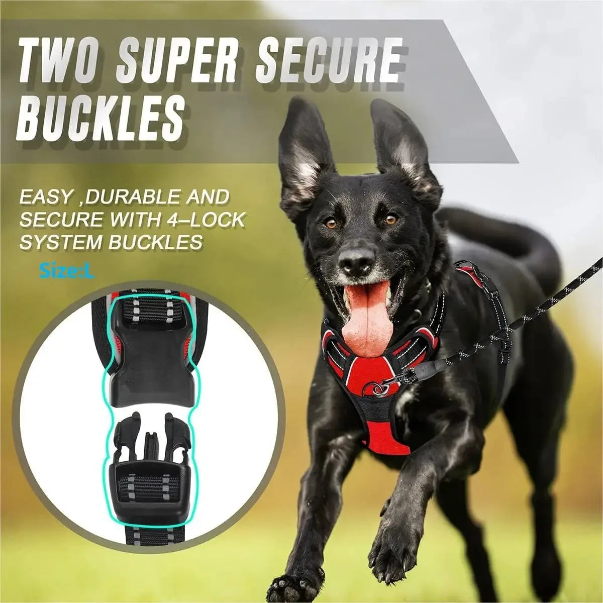 Durable Dog Harness & Leash Set Woofy