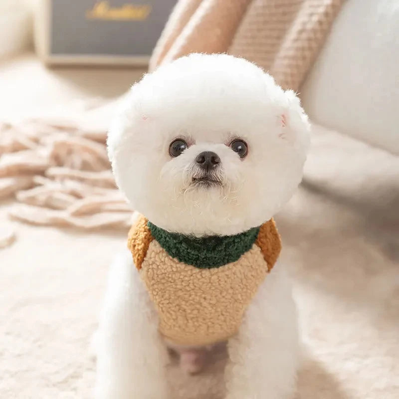 Warm two-legged dog cardigan for winter walks and cozy comfort
