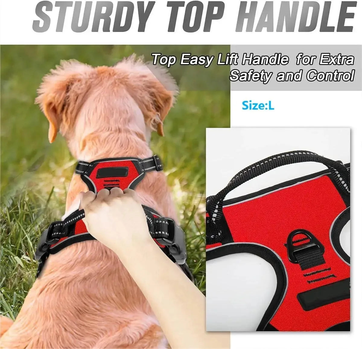 Durable Dog Harness & Leash Set Woofy