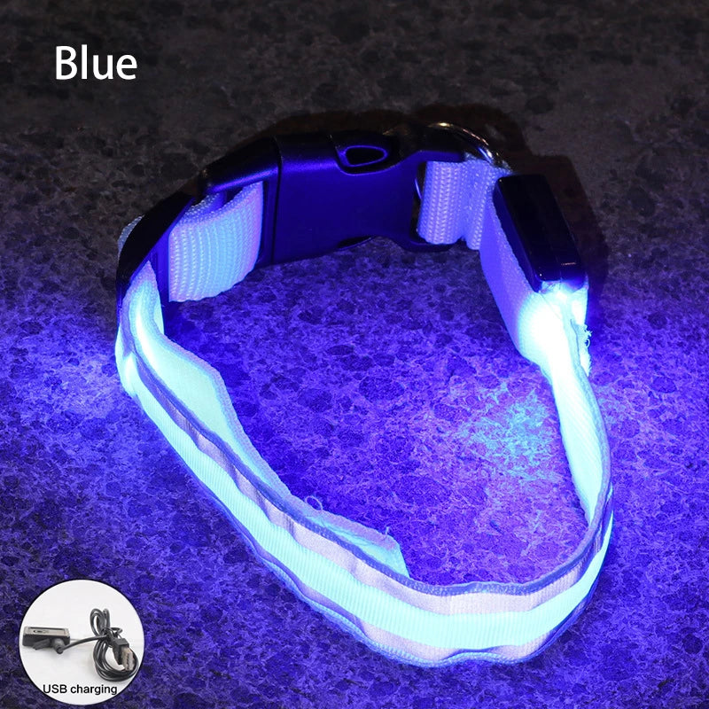 Blue USB Rechargeable LED Dog Collar Reflective Night Safety