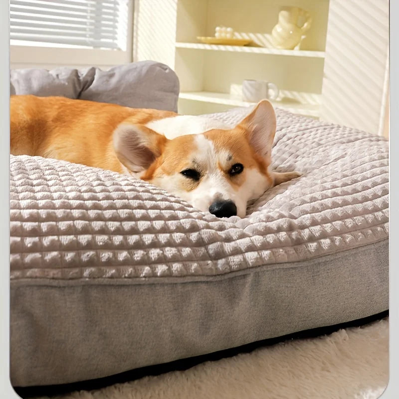 Corgi resting comfortably on large grey human size dog bed