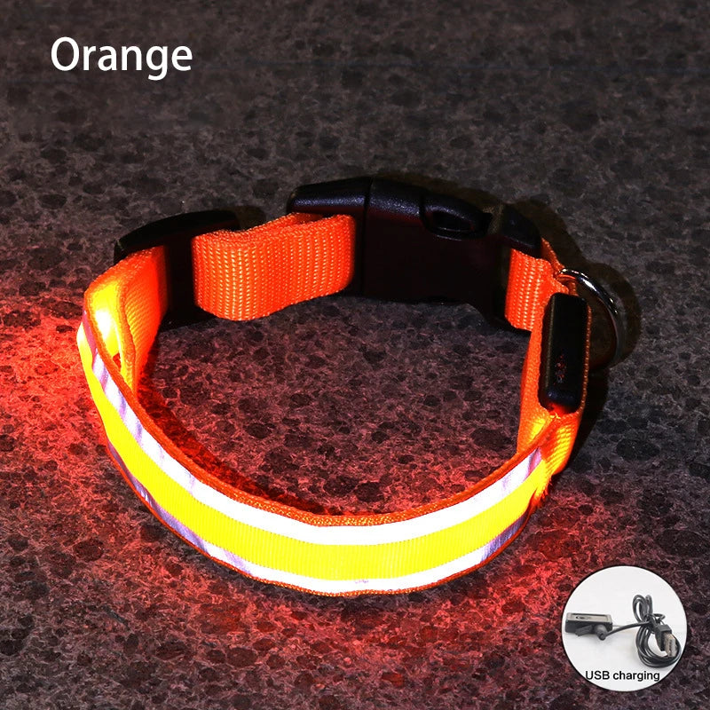 Orange USB Rechargeable LED Dog Collar Reflective Night Safety