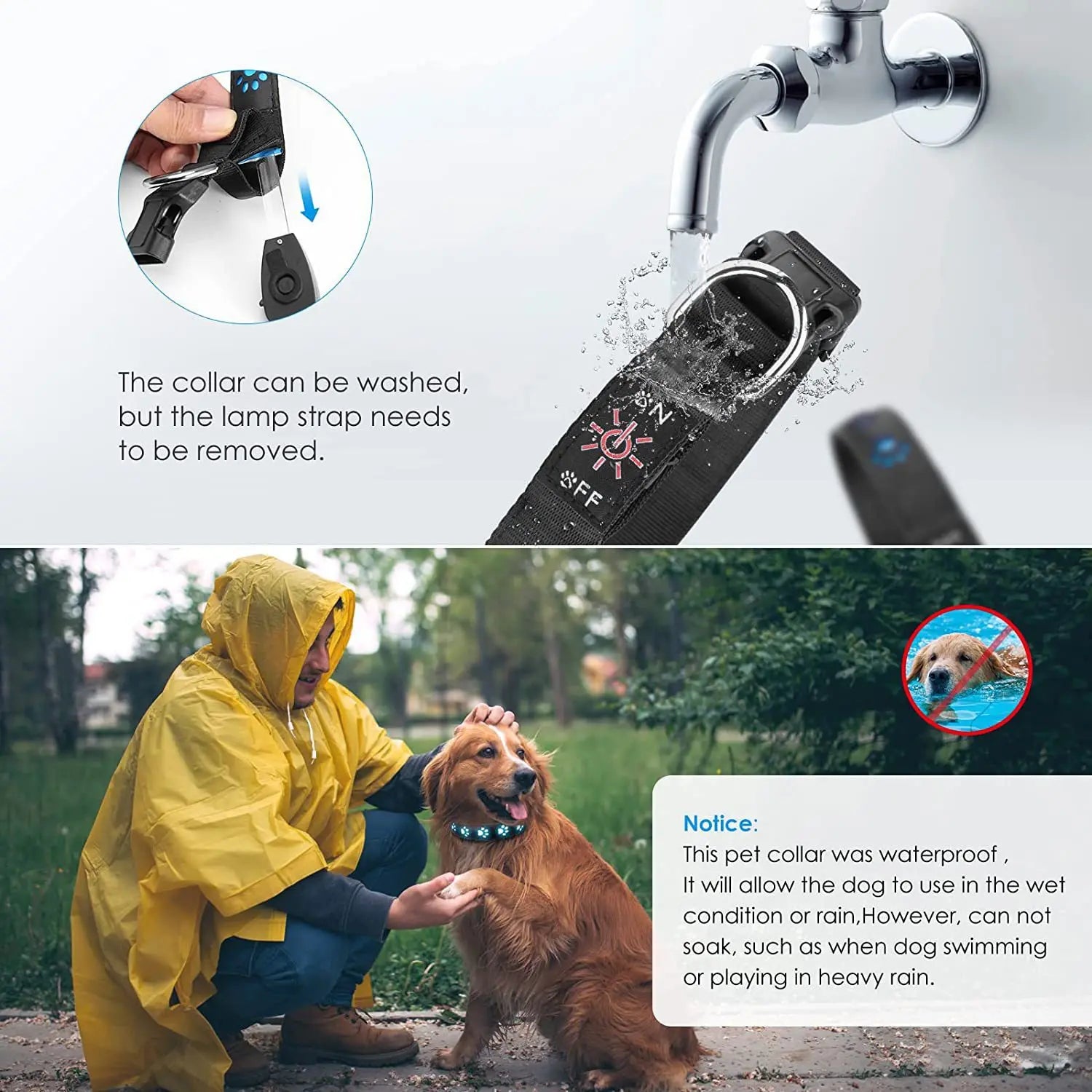 Rainproof Rechargeable LED Dog Collar for Safety