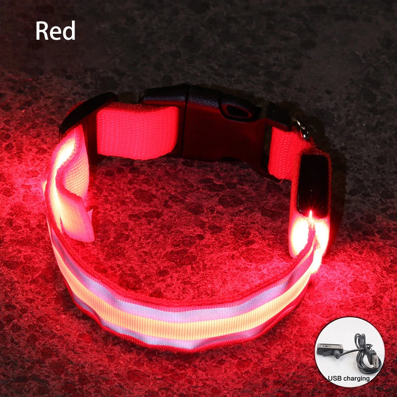 Red USB Rechargeable LED Dog Collar Reflective Night Safety
