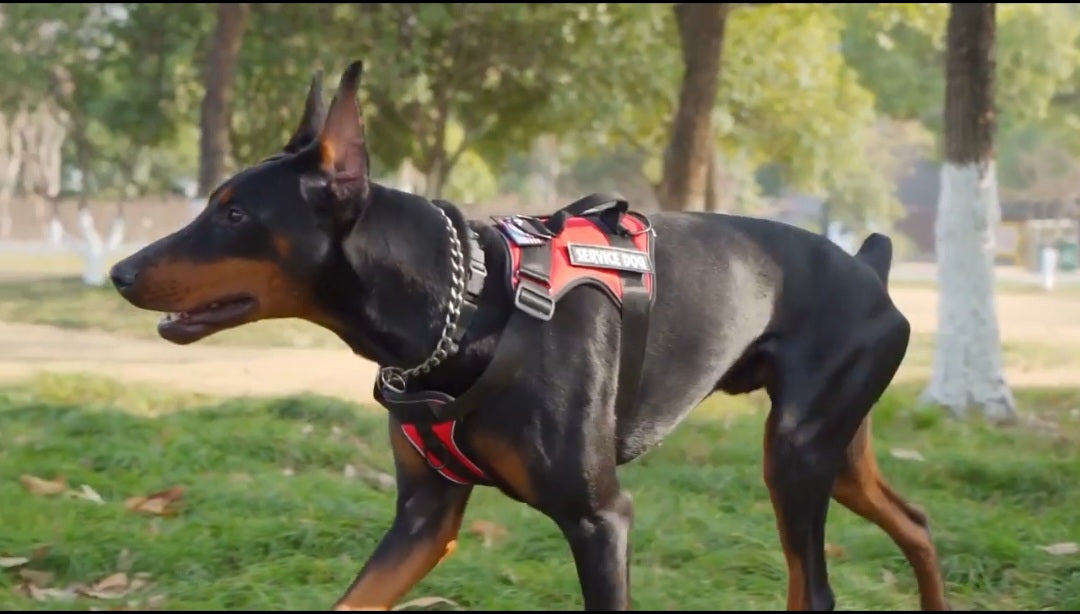 Prime Reflective Adjustable Dog Harness Woofy