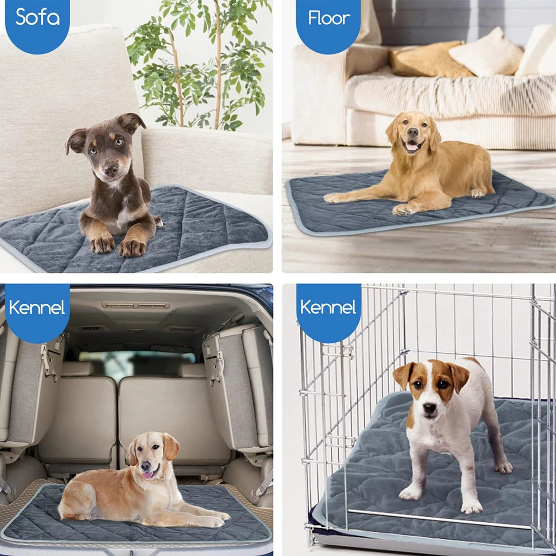 Dogs resting on self-heating pet pad for sofa, floor, and kennel use