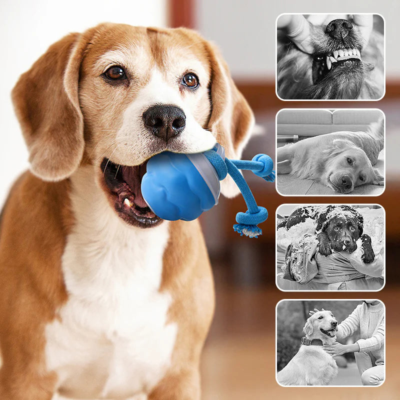 Pawzioo™Smart Bouncing Dog Toy – No More Chewed Furniture🐶