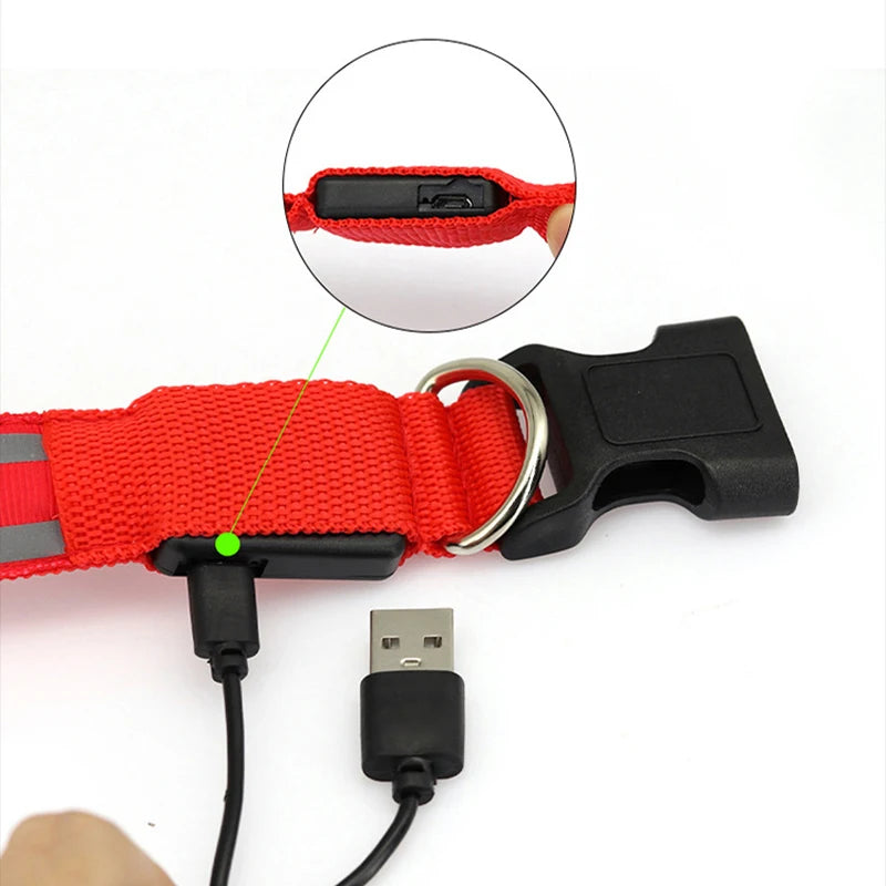 USB Charging LED Dog Collar Rechargeable Reflective Nylon