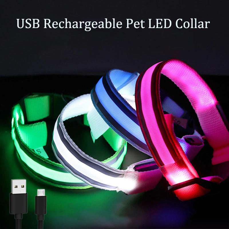 USB Rechargeable LED Pet Collar Glowing Reflective Night Safety