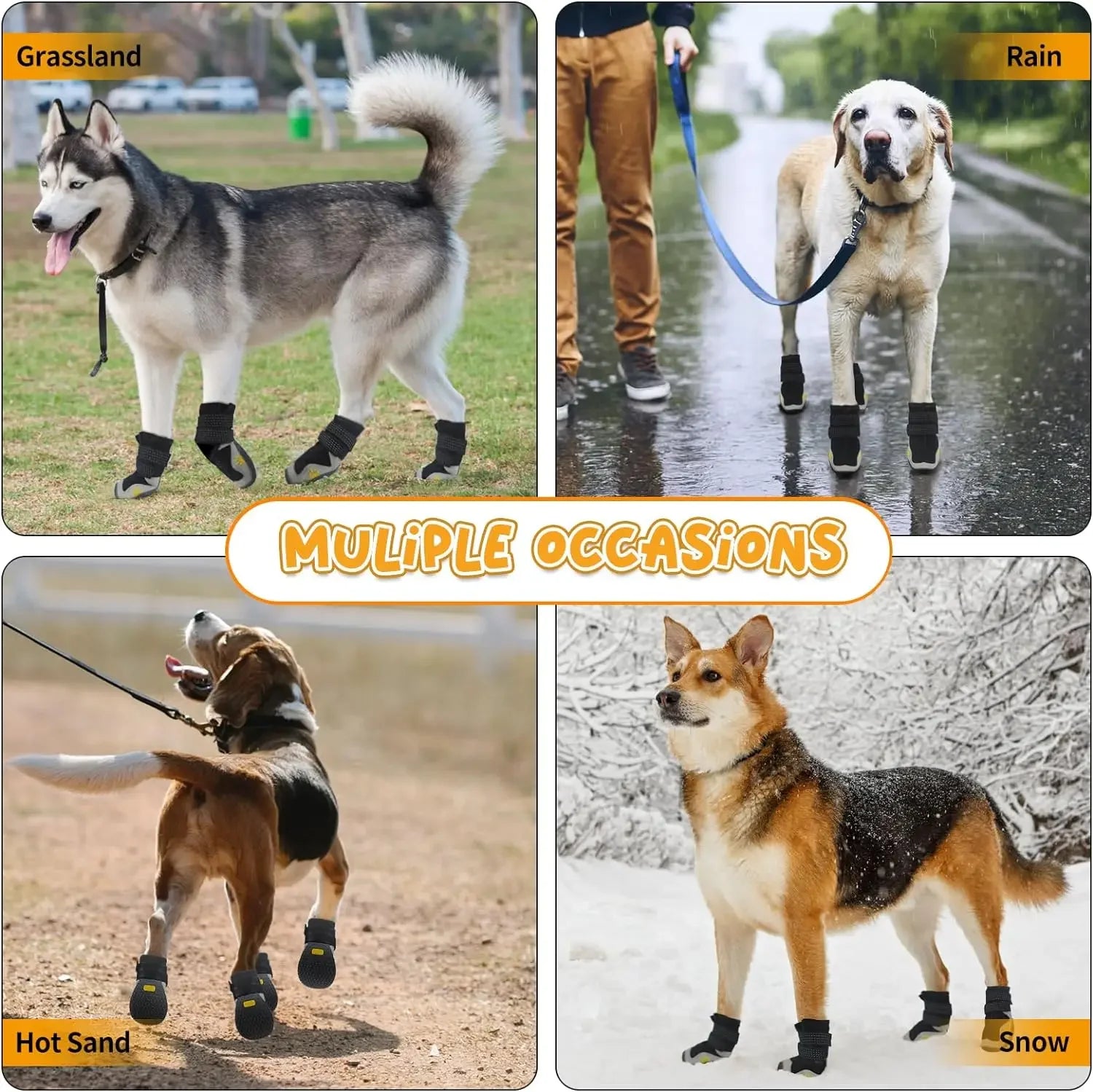 Dogs wearing waterproof boots for snow and outdoor use