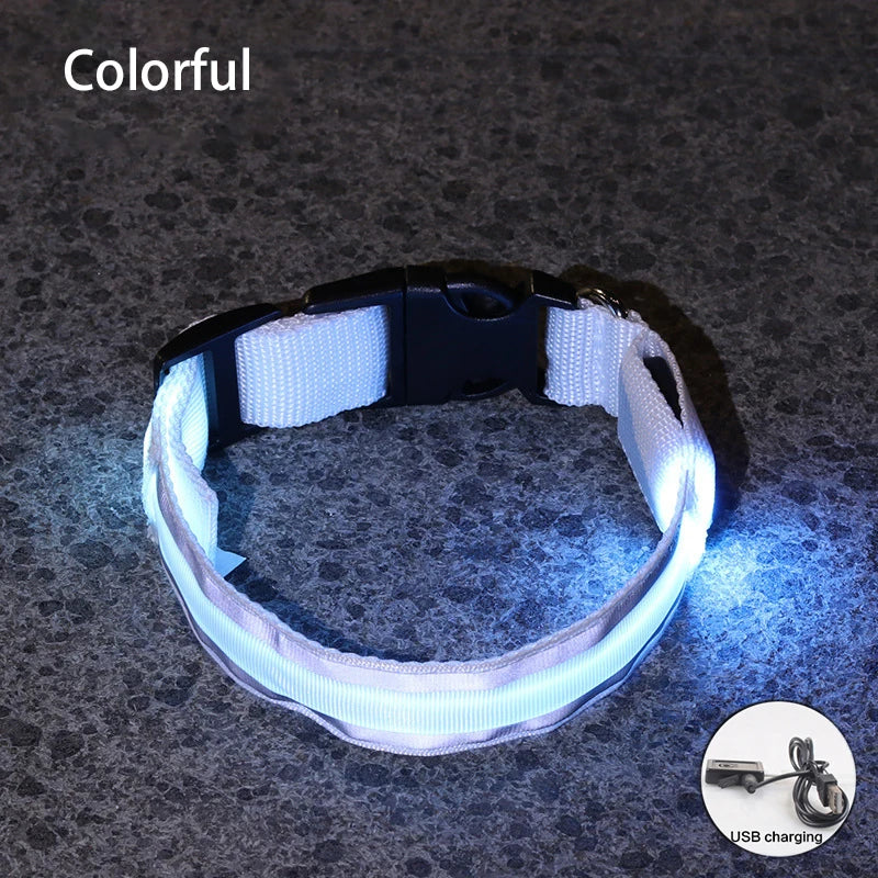 White USB Rechargeable LED Dog Collar Reflective Night Safety