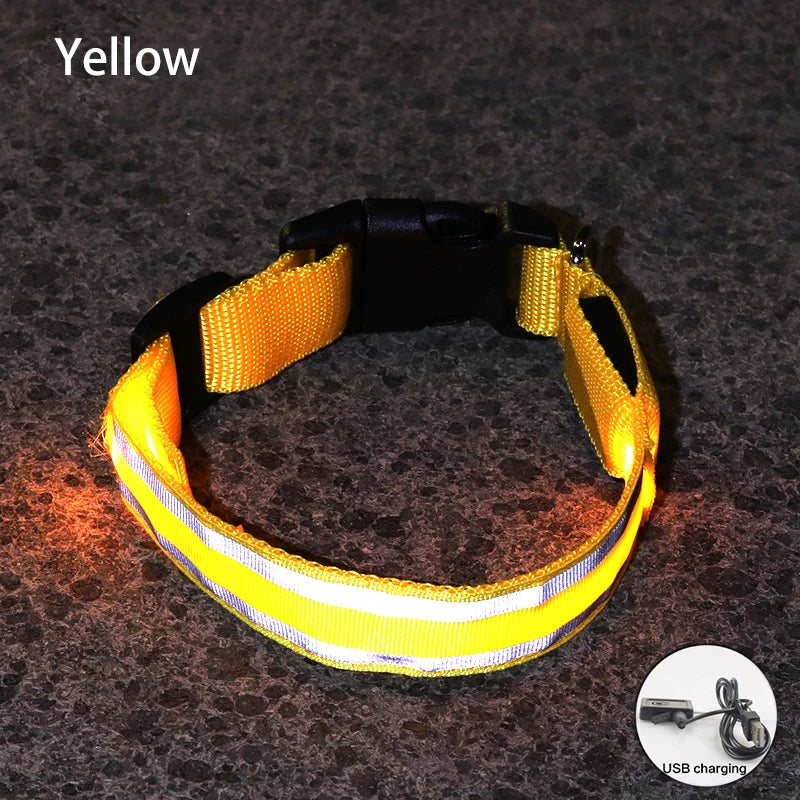Yellow USB Rechargeable LED Dog Collar Reflective Night Safety