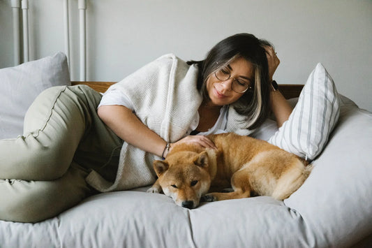 8 Ways To Create A Strong Bond With Your Dog.