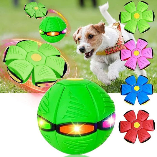 Flying Saucer Dog Toy for Outdoor Fetch & Training