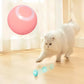 Electric Smart Cat Ball Toy Woofy