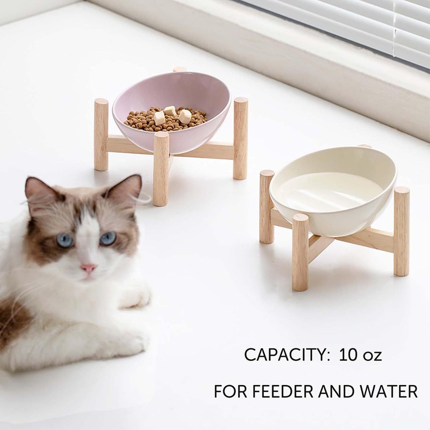 Elevated Cat Bowl with Stand Woofy