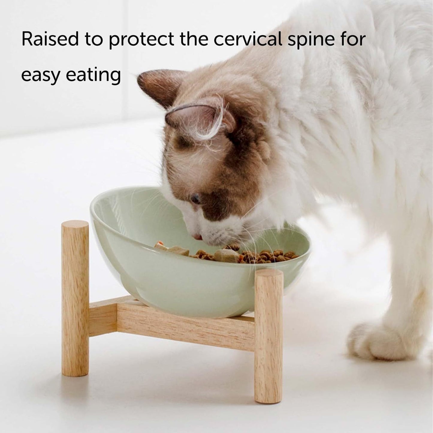 Elevated Cat Bowl with Stand Woofy