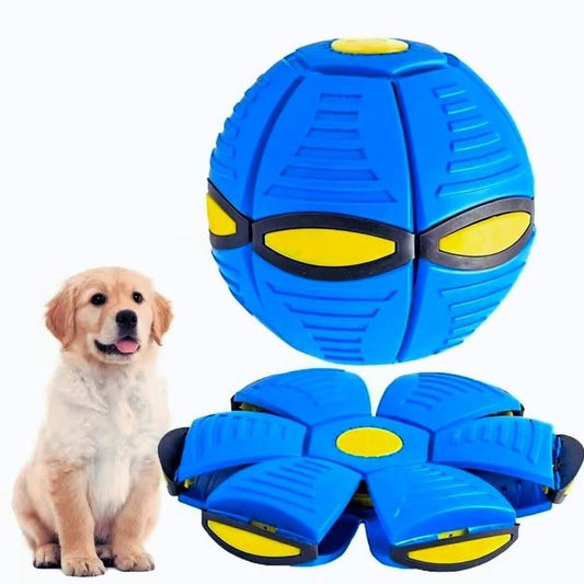 Flying Saucer Dog Toy for Outdoor Fetch & Training