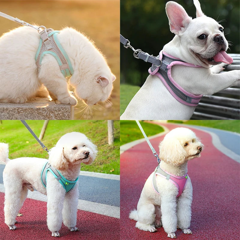 Adjustable Cat Harness & Leash Set for Outdoor Walks