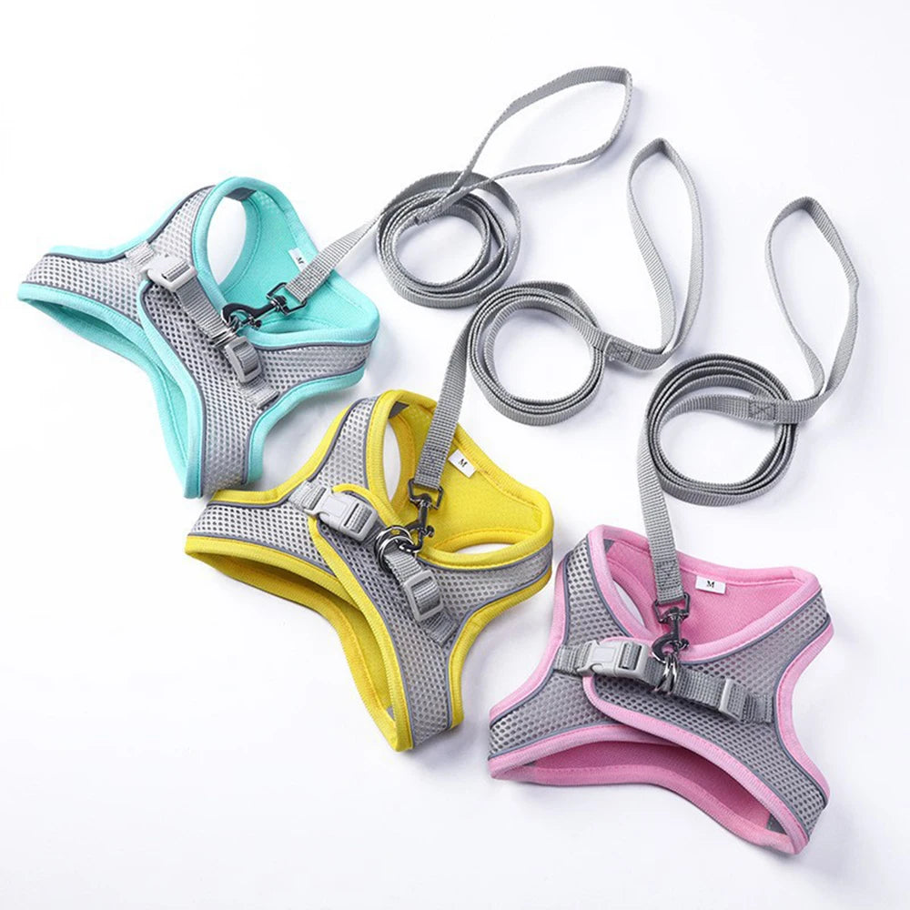 Adjustable Cat Harness & Leash Set for Outdoor Walks