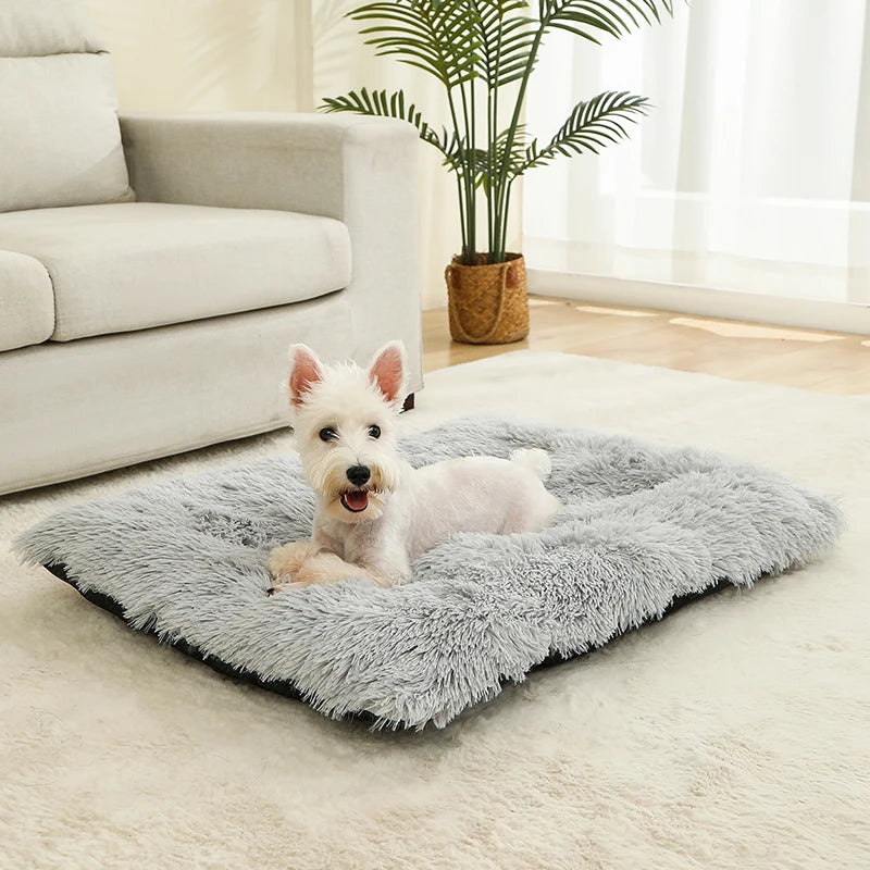 Ultimate Comfort Plush Dog Bed Woofy