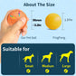 Smart LED Rolling & Bouncing Pet Ball Woofy