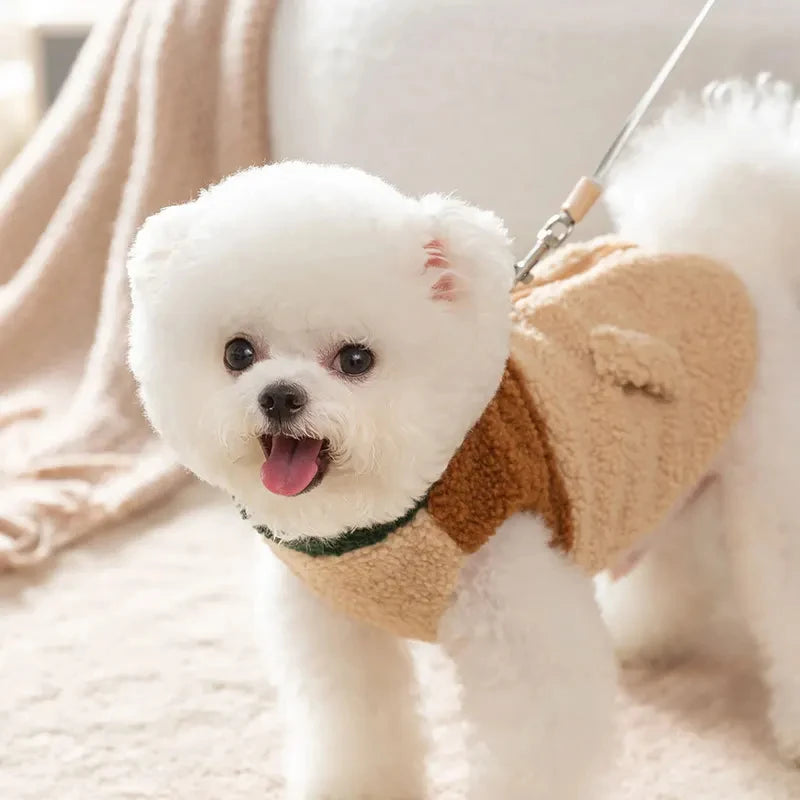 Warm two-legged dog cardigan for winter walks and cozy comfort