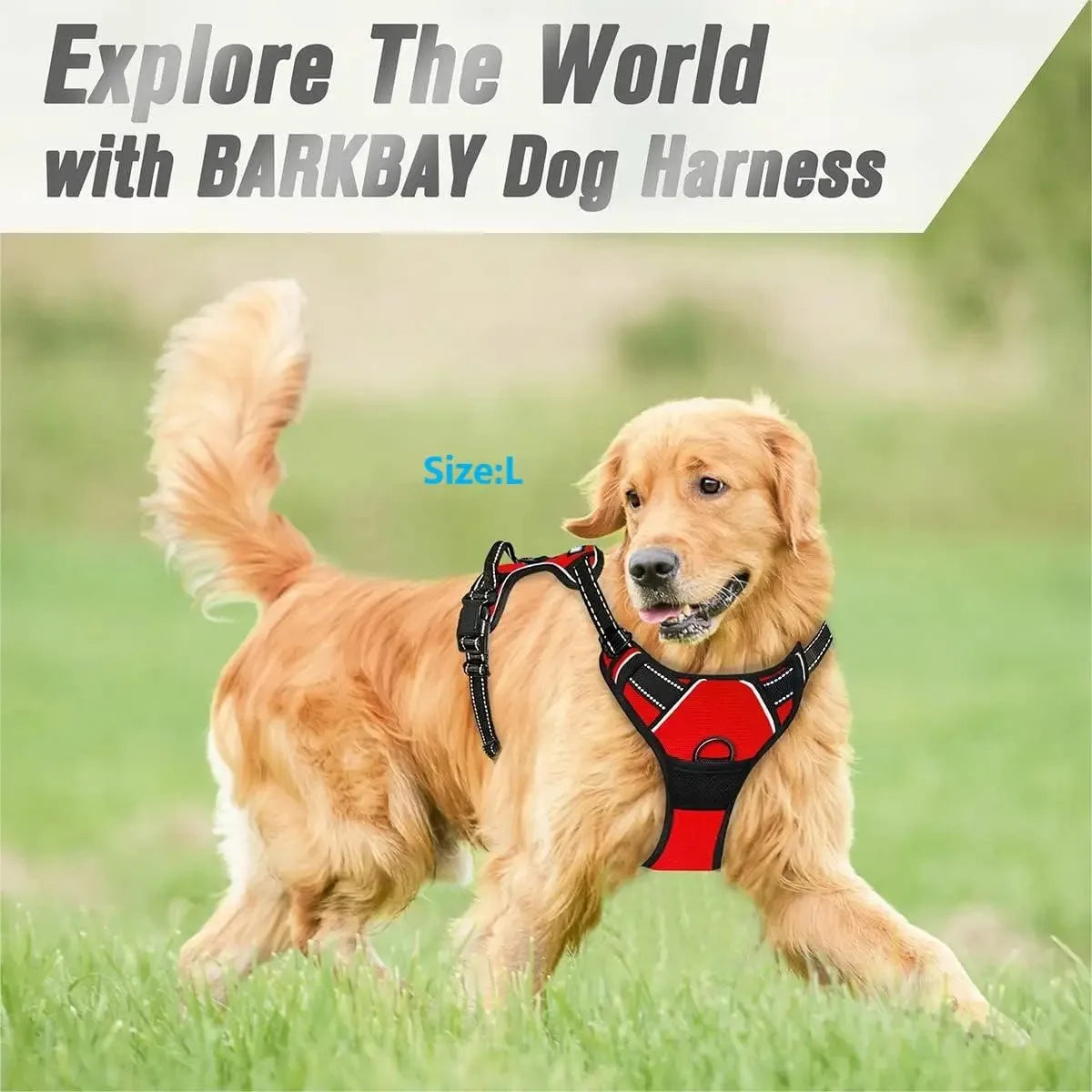 Durable Dog Harness & Leash Set Woofy