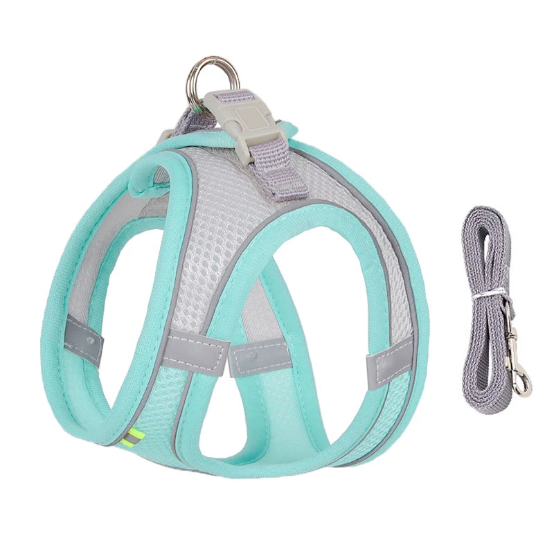 Adjustable Cat Harness & Leash Set for Outdoor Walks