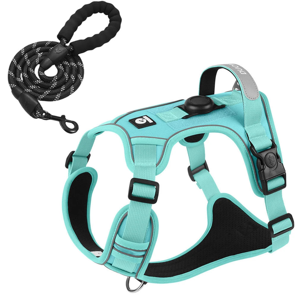 Turquoise dog harness and black leash on a white background