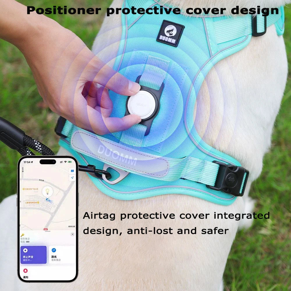 Night visible dog harness for outdoor walks