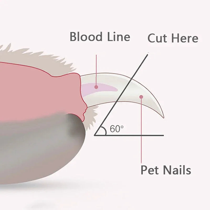 Professional pet claw trimmer