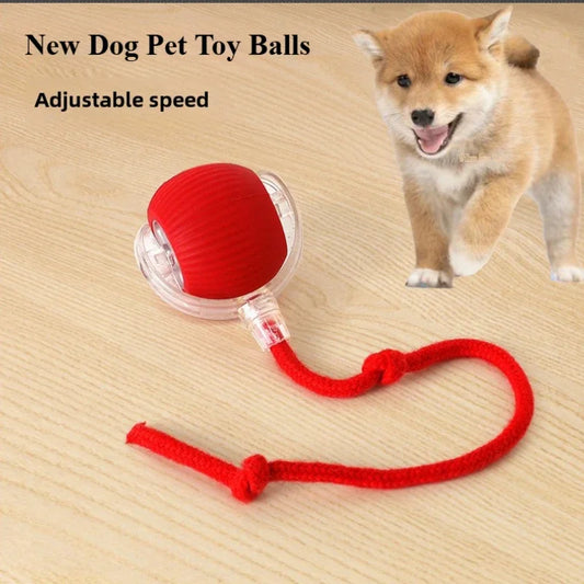 Interactive Rolling Pet Toy Woofy