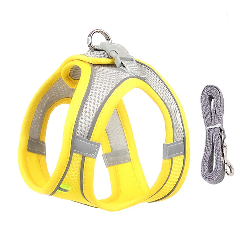 Adjustable Cat Harness & Leash Set for Outdoor Walks