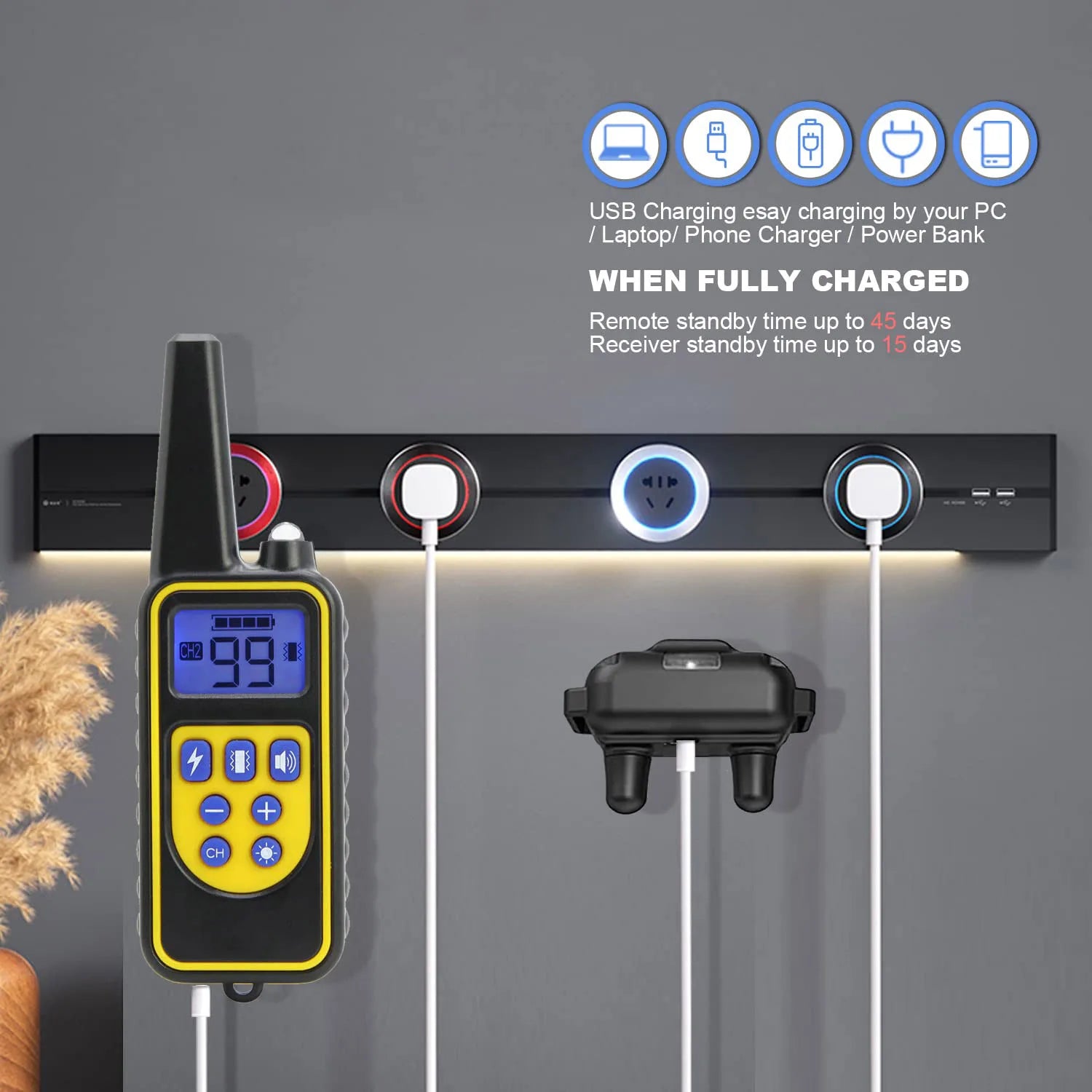 Waterproof Dog Training Collar with Remote Control